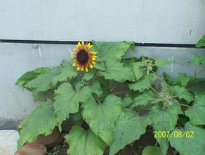 ������ǧ����ѽ�ѧ��Ƶ��������Ա��3��Ů��§�����Ĳ�����Ƶ�⴦��...